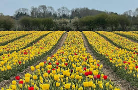 Britain's Most Scenic Counties: Norfolk & Suffolk: Series 1: Episode 1