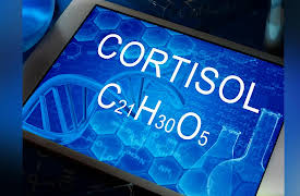 Changing Body Composition through Diet and Exercise: Hormones and Body Composition