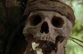 The Adventures of Swiss Family Robinson: The Ghost of Raven Jones Part 2