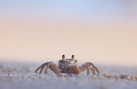 Splash and Bubbles: Get Your Feet Wet, Season 1: Dirty Living