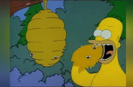 The Simpsons Season 1: Call Of The Simpsons