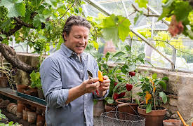 Jamie Oliver: Seasons: Episode 4