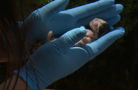 Animal Cops Season 20: Puppies in a Pipe