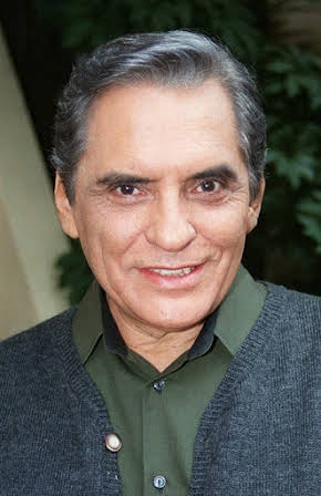 Manuel Ojeda as 