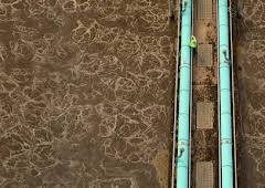 The Secret Science of Sewage