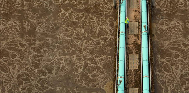 10:00 PM: The Secret Science of Sewage | BBC Four | 2/10 2026