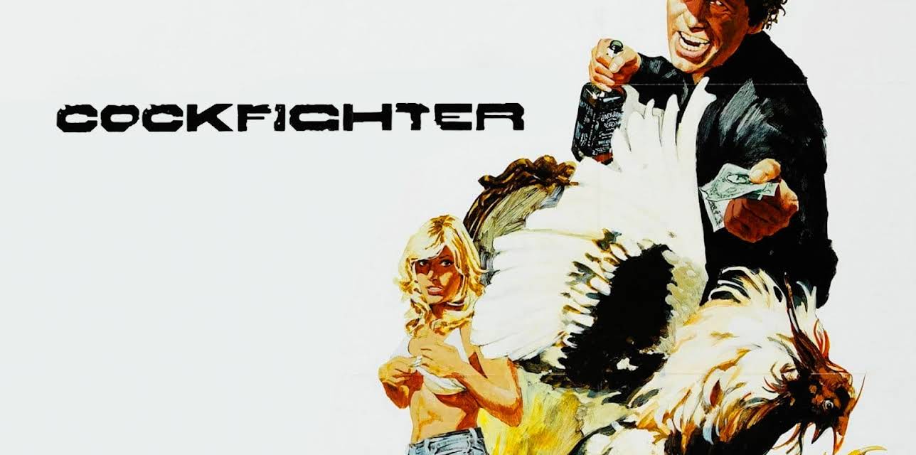 Cockfighter (1974)