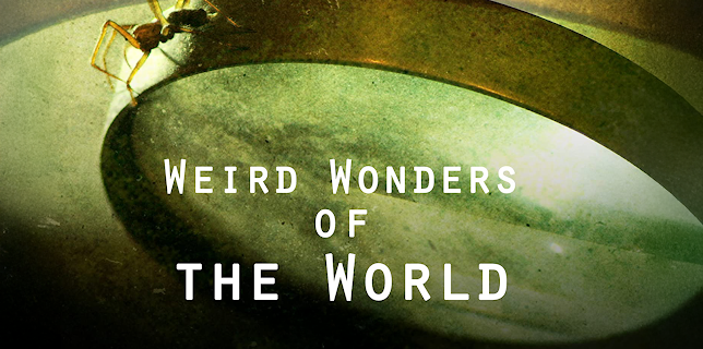 Weird Wonders of the World, Season 1