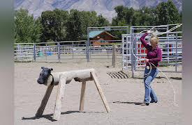 Samantha Brown's Great Weekends: Dude Ranch in Wyoming