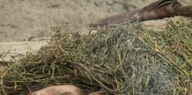 08:36: Aventura en pelotas: Partiendo de cero | Discovery Max | 12/19 2025