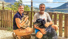 Bargain-Loving Brits in the Sun (S8 E40)