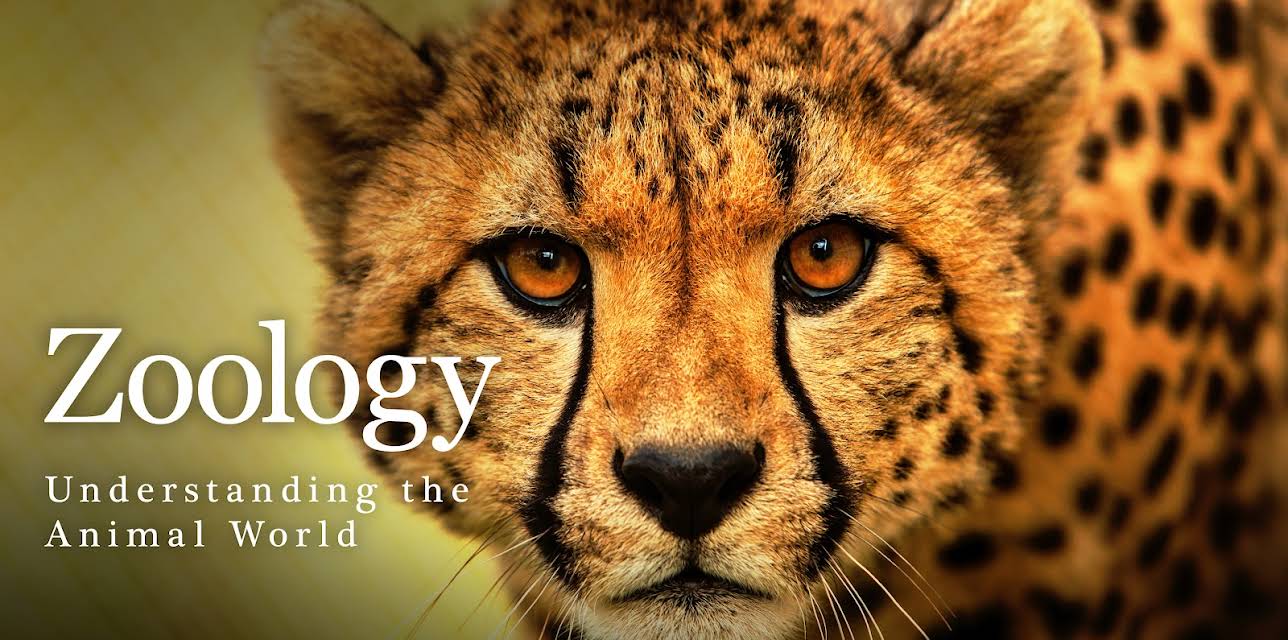 Zoology: Understanding the Animal World