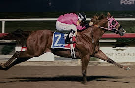 Cowboy Cartel: The Starting Gate