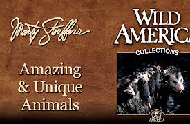 Wild America: All-American Animals