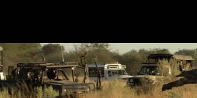 08:05: Safari letal: León vs. búfalo | Nat Geo Wild | 2/12 2026