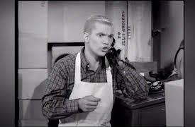 The Many Loves Of Dobie Gillis: Season One: Taken To The Cleaners