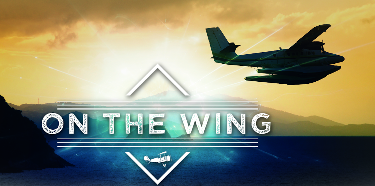 On The Wing
