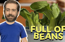 Will's Jams: Full of Beans
