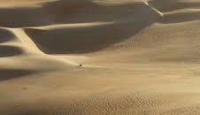 Secretos en la arena: Episodio 8