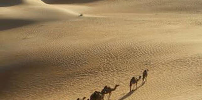 03:46: Secretos en la arena: Episodio 3 | Discovery Max | 12/10 2025