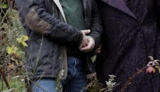 Mi casa en un árbol: Bungalow en las montañas