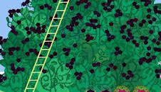 Peppa Pig (T4): Ep.22 La Zarza De Las Moras