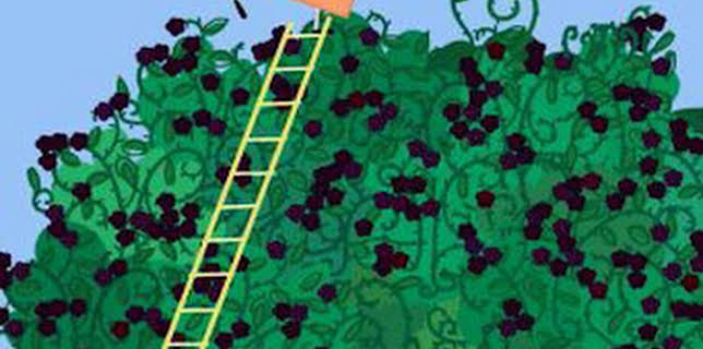 15:41: Peppa Pig (T4): Ep.22 La Zarza De Las Moras | NICK JR | 2/3 2026