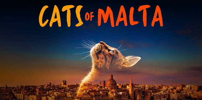 Cats of Malta (2023)