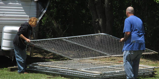 15:00: Pit Bulls & Parolees (S9 E3) (S9) | Animal Planet | 1/18 2026