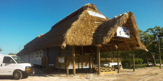 09:25: Akvariedesignerne (S4 E13) (S4) | Animal Planet | 2/13 2026