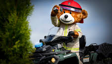 Bjørnis: Borte i skogen