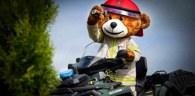 06:05: Bjørnis: Borte i skogen | NRK Super | 1/31 2026