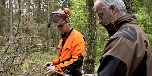 14:00: Die Nordreportage: Die Waldretter | NDR Fernsehen | 3/20 2026