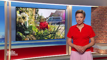11:00: Hallo Niedersachsen | NDR Fernsehen | 8/19 2026