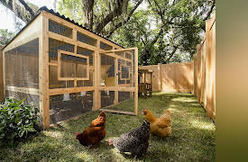 America's Most Desperate Landscape: Most Desperate Landscape 2019