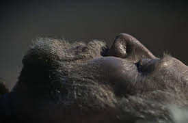 Vikings: Blood, Conquest and Kingdom: Episode 2