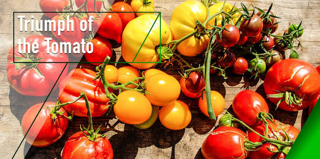 Triumph of the Tomato (2018)