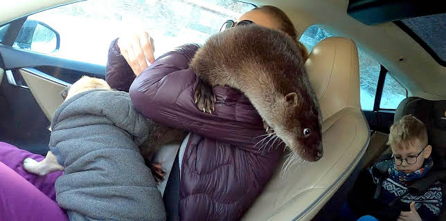 15:40: Oteren Svenn: Hyttetur | NRK Super | 12/5 2025