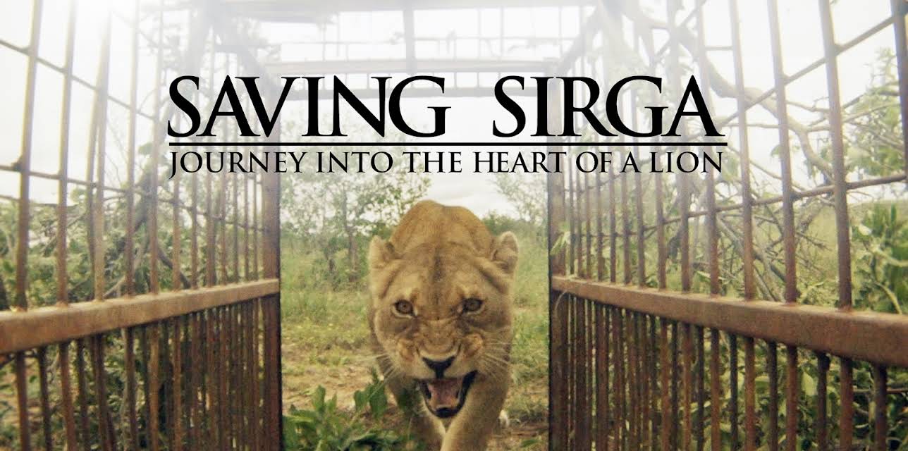 Saving Sirga - Journey Into the Heart of a Lion