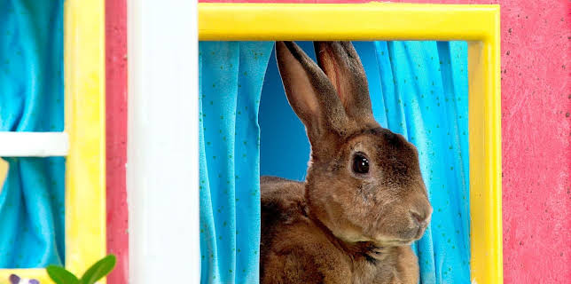 17:20: Rosin og Bolle: En omvisning for tante Sateng | NRK Super | 12/10 2025