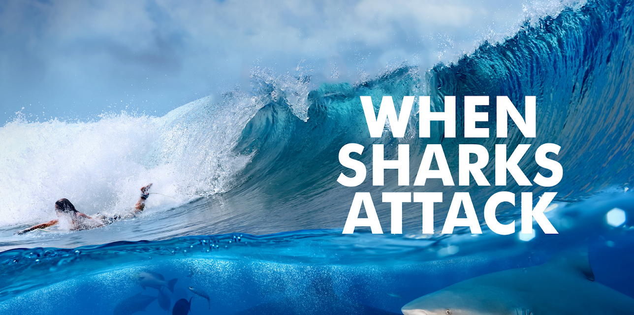 When Sharks Attack Season 2