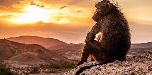 01:15: Unsere Erde III | 3SAT | 2/6 2026