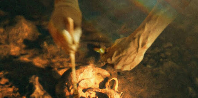 Secrets of the Neanderthals (2024)