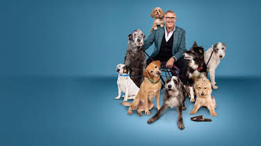 10:00 AM: Dogs Behaving (Very) Badly (S7 E15) (S7) | 5 Star | 3/27 2026