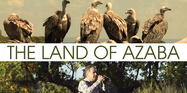 The Land of Azaba (2020)