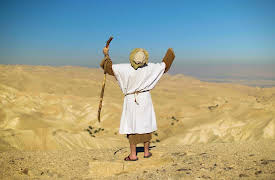 The Wilderness: Season 1: The Story of Abraham