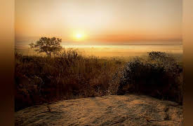 Africa's Wild Wonders: Contrasting Landscapes