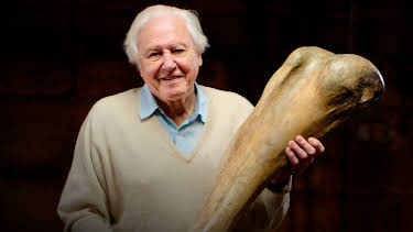 8:00 PM: Attenborough and the Mammoth Graveyard (S1 E1) (S1) | Yesterday | 12/21 2025