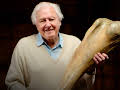 Attenborough and the Mammoth Graveyard