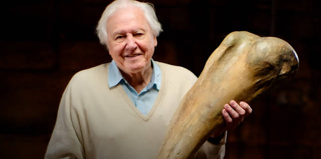 7:00 PM: Attenborough and the Mammoth Graveyard (S1 E1) (S1) | Yesterday | 12/21 2025